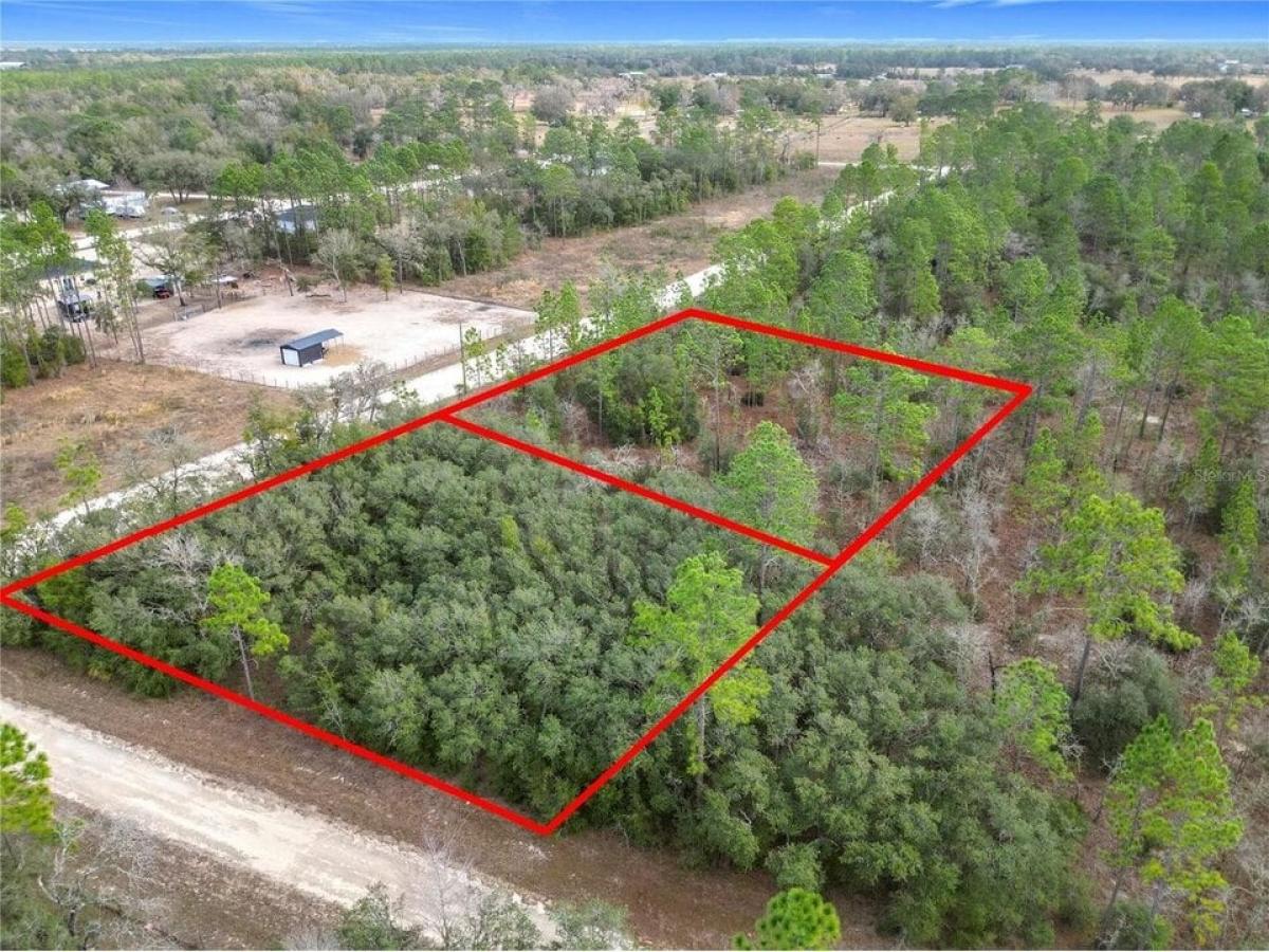 Picture of Residential Land For Sale in Williston, Florida, United States