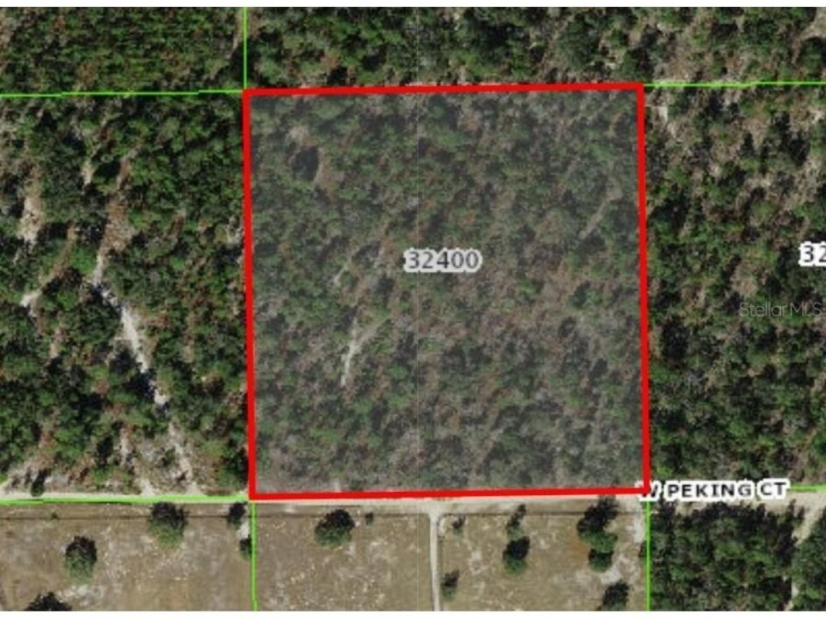 Picture of Residential Land For Sale in Dunnellon, Florida, United States