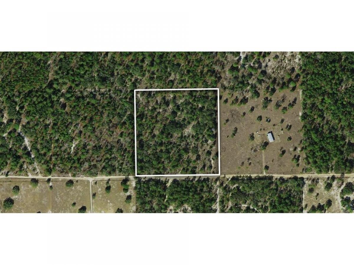 Picture of Residential Land For Sale in Dunnellon, Florida, United States