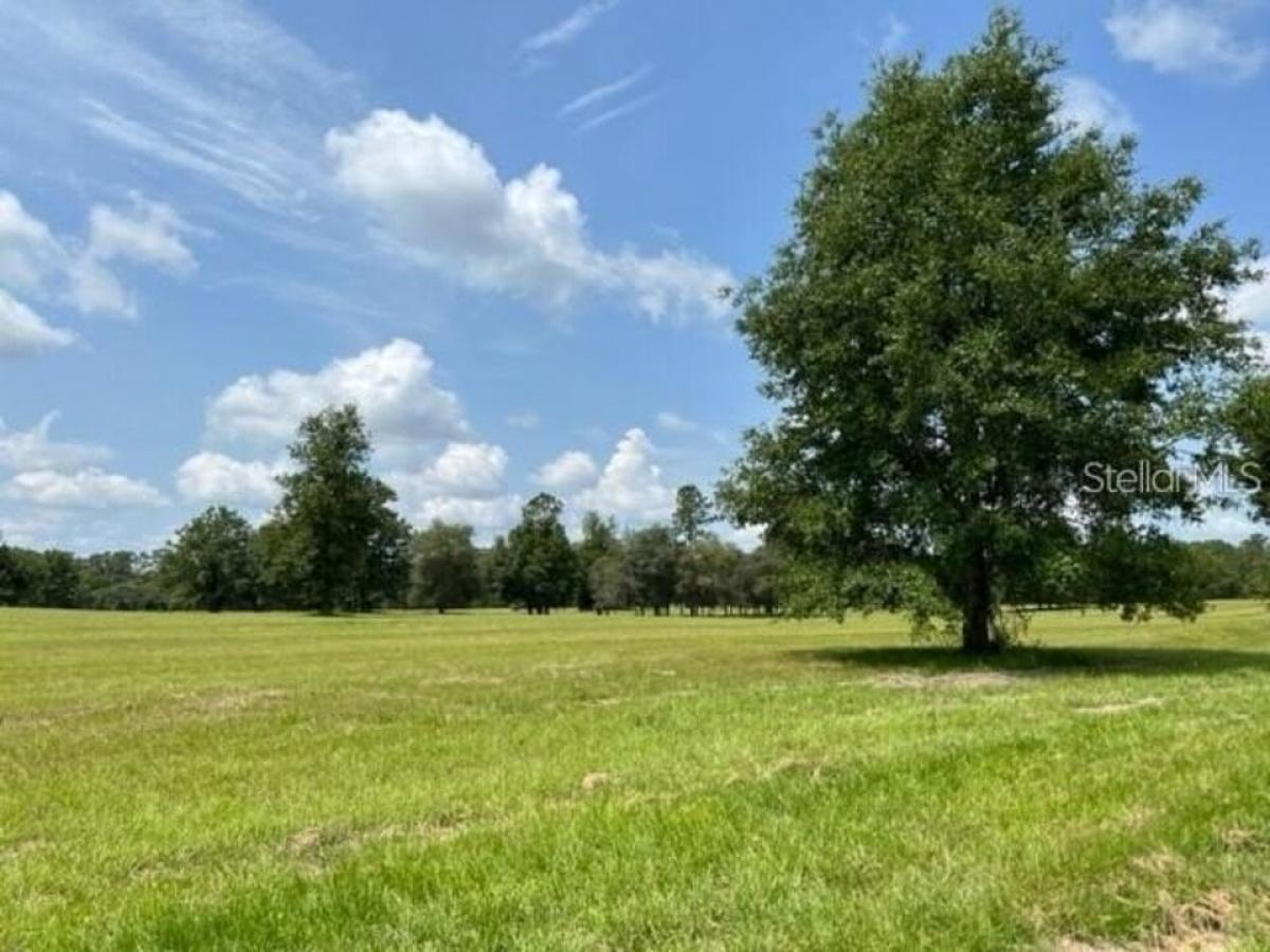 Picture of Residential Land For Sale in Ocala, Florida, United States