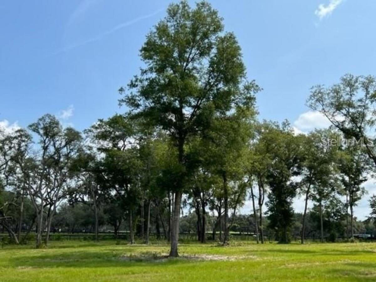 Picture of Residential Land For Sale in Ocala, Florida, United States