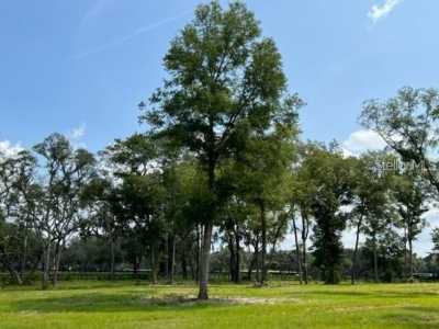 Residential Land For Sale in Ocala, Florida