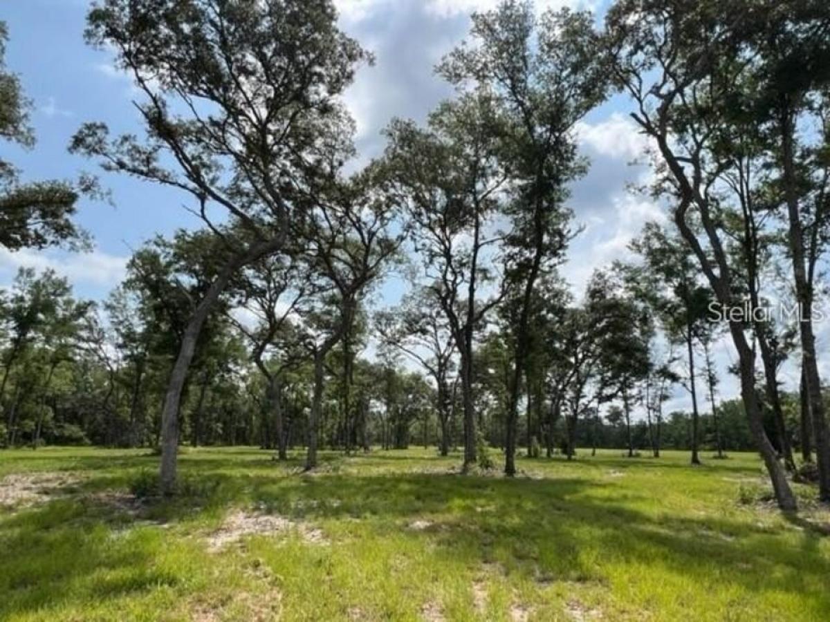 Picture of Residential Land For Sale in Ocala, Florida, United States