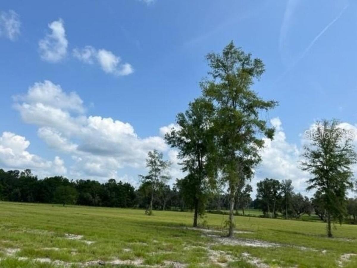 Picture of Residential Land For Sale in Ocala, Florida, United States