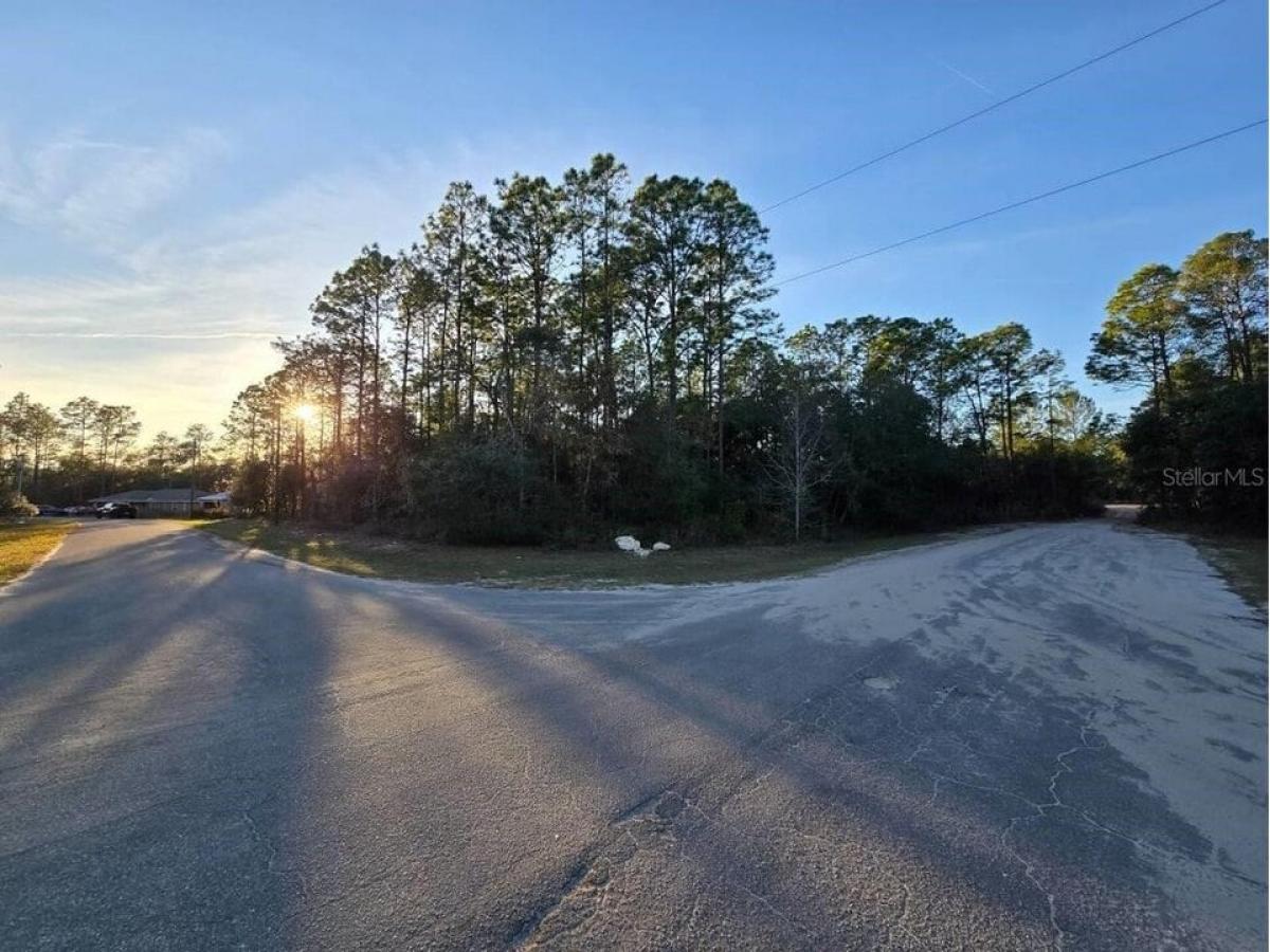 Picture of Residential Land For Sale in Ocala, Florida, United States