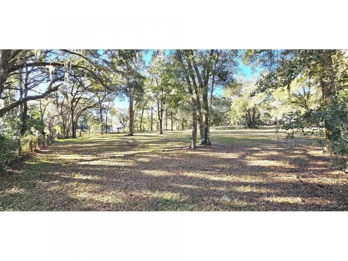 Picture of Residential Land For Sale in Ocala, Florida, United States