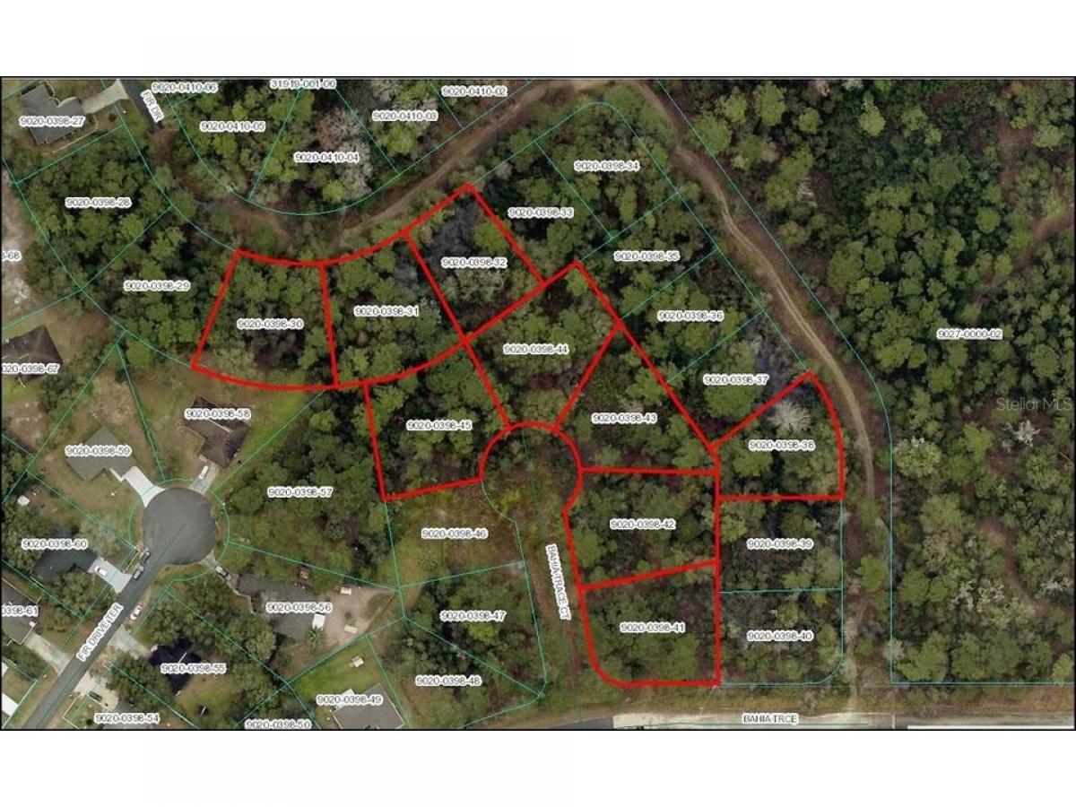 Picture of Residential Land For Sale in Ocala, Florida, United States