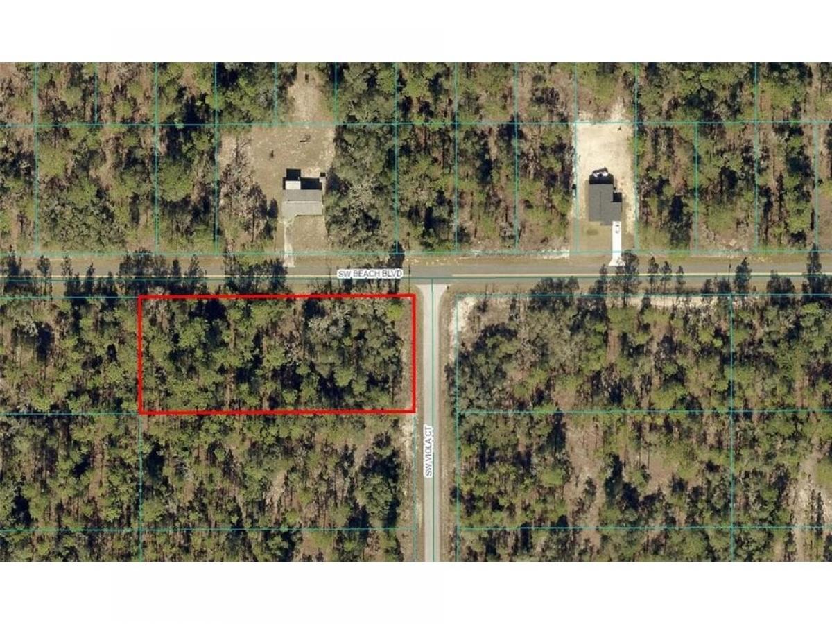 Picture of Residential Land For Sale in Dunnellon, Florida, United States