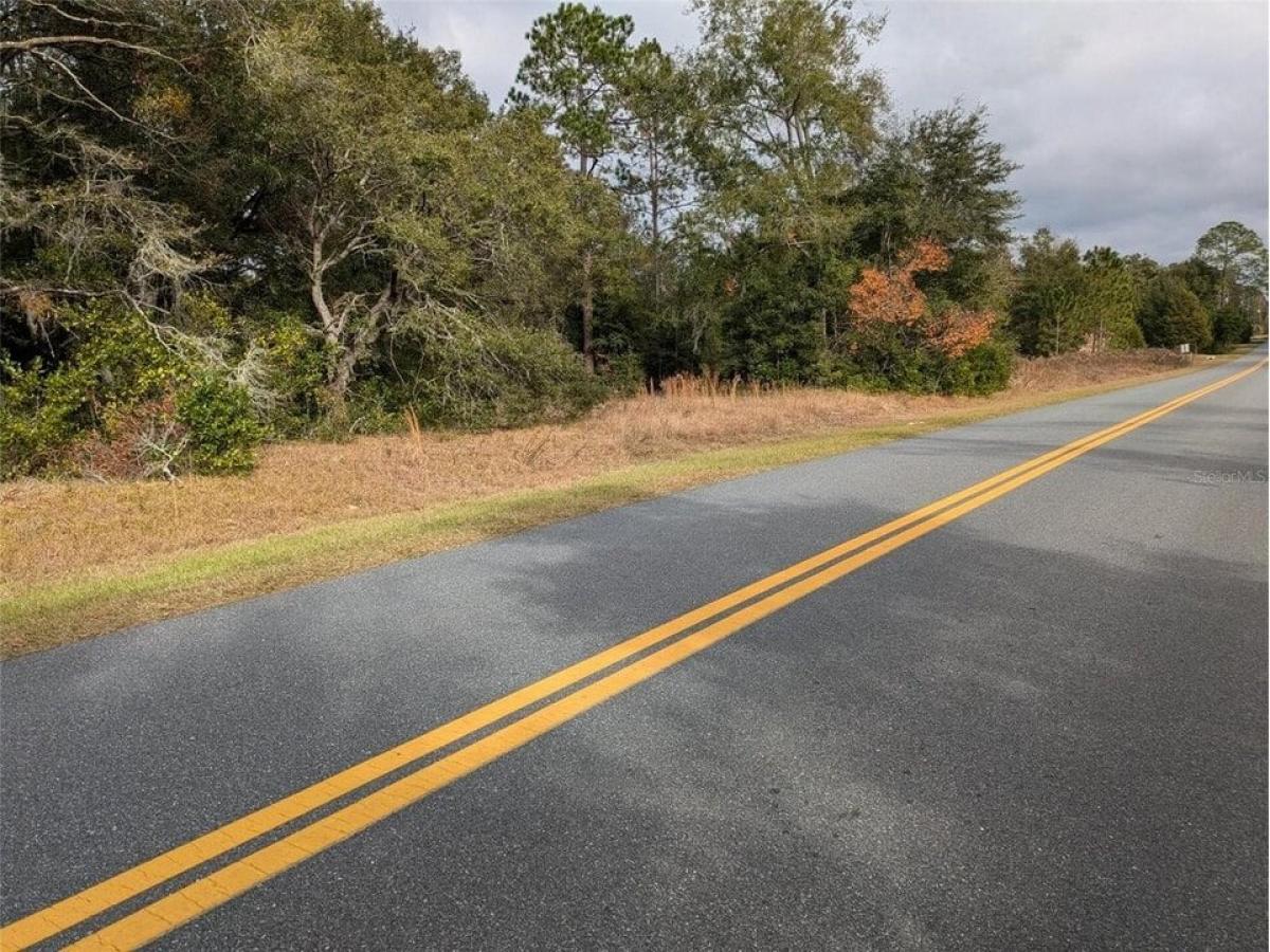 Picture of Residential Land For Sale in Dunnellon, Florida, United States