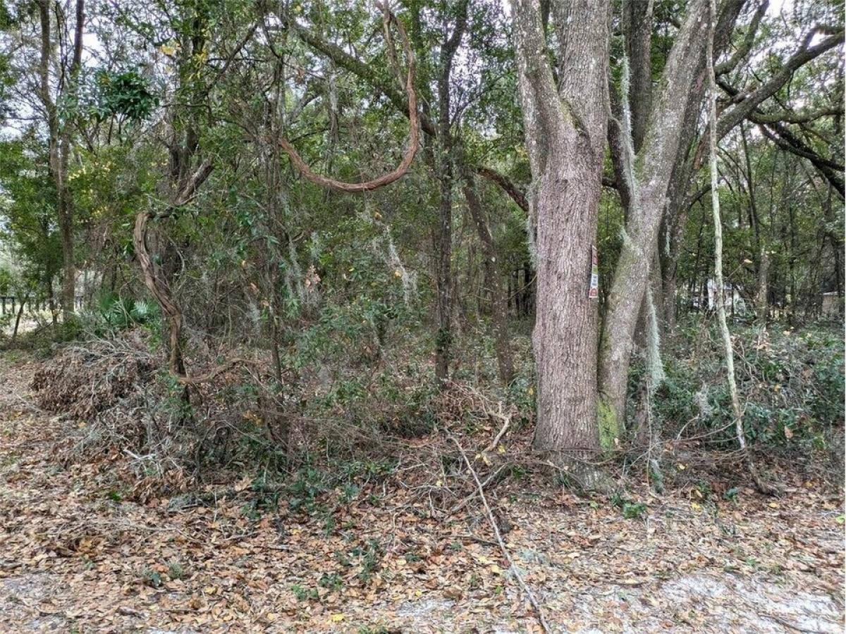 Picture of Residential Land For Sale in Dunnellon, Florida, United States