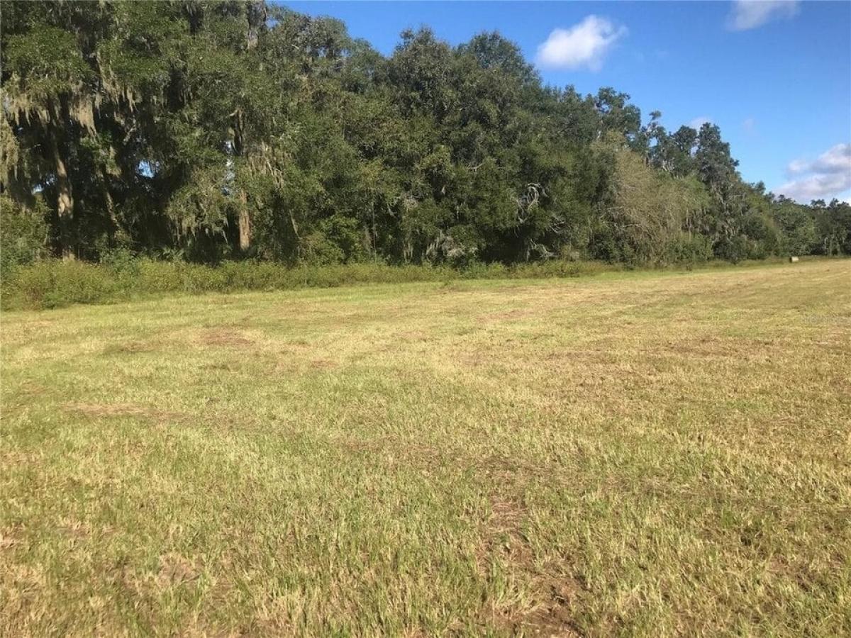 Picture of Residential Land For Sale in Reddick, Florida, United States