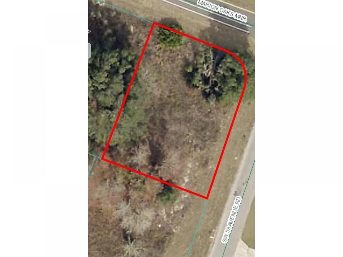 Picture of Residential Land For Sale in Ocala, Florida, United States