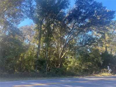 Residential Land For Sale in Morriston, Florida