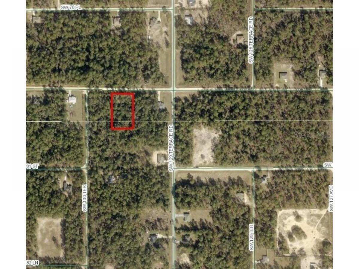 Picture of Residential Land For Sale in Dunnellon, Florida, United States