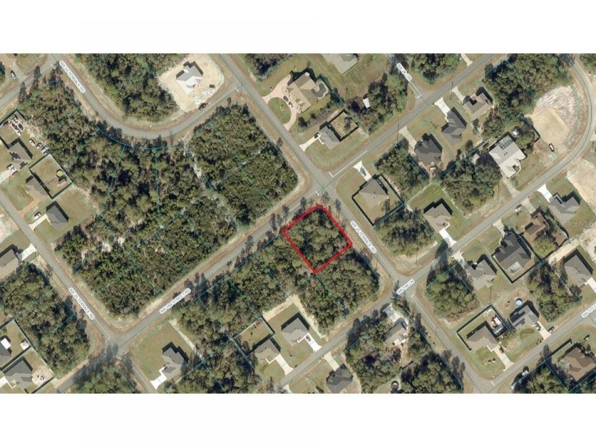 Picture of Residential Land For Sale in Ocala, Florida, United States