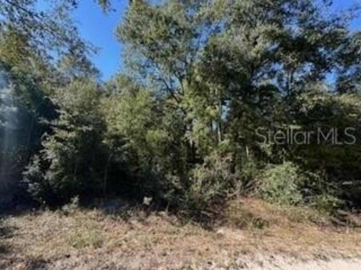 Picture of Residential Land For Sale in Ocala, Florida, United States