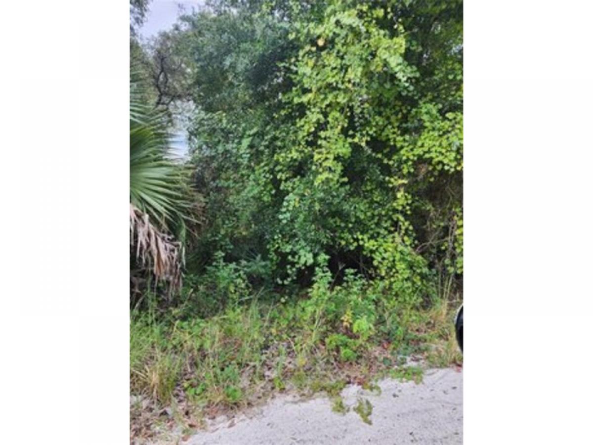 Picture of Residential Land For Sale in Silver Springs, Florida, United States