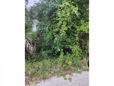 Residential Land For Sale in Silver Springs, Florida