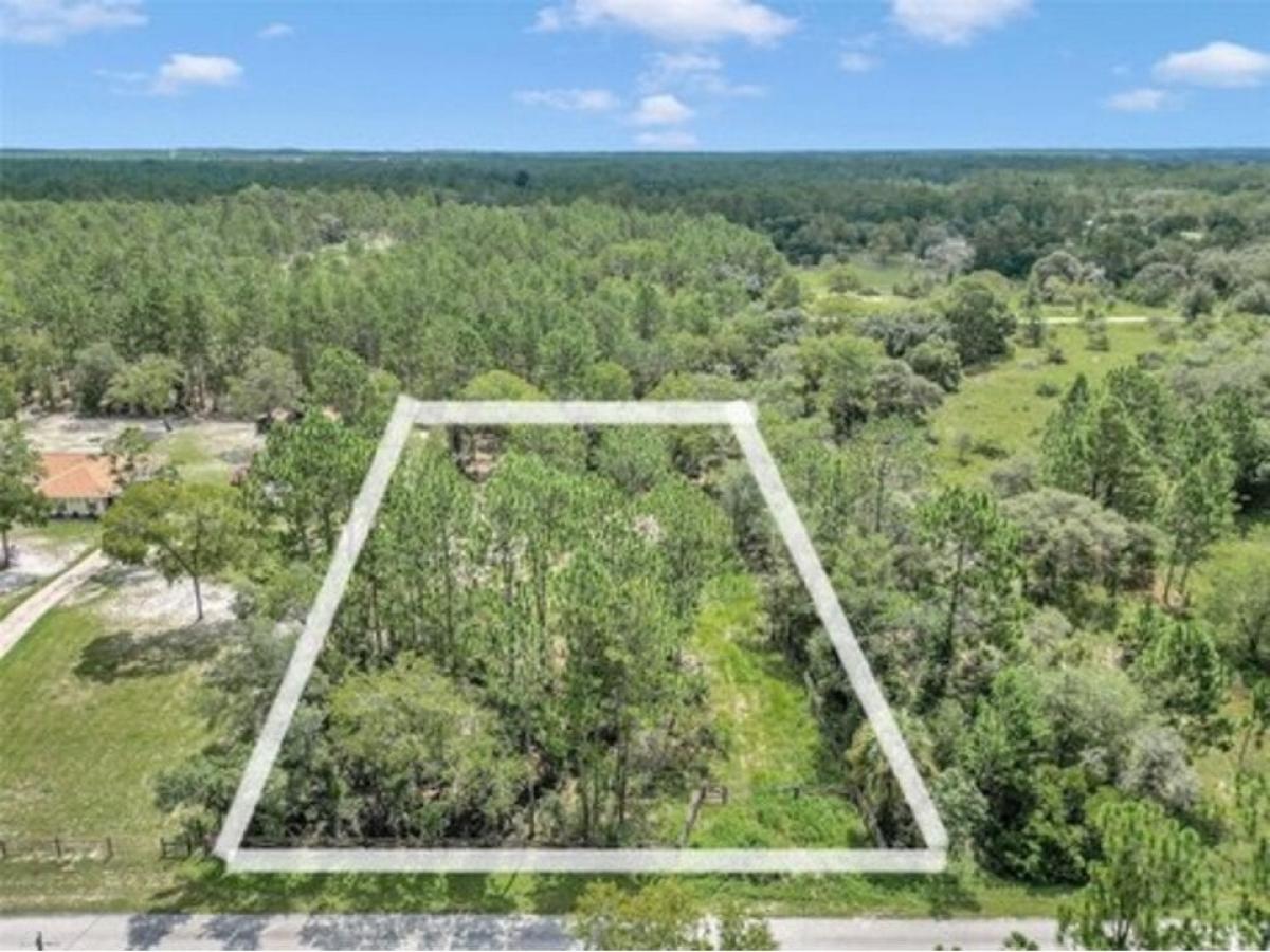 Picture of Residential Land For Sale in Dunnellon, Florida, United States