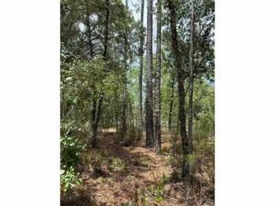 Residential Land For Sale in Williston, Florida