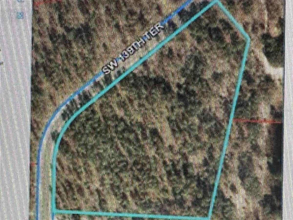 Picture of Residential Land For Sale in Morriston, Florida, United States