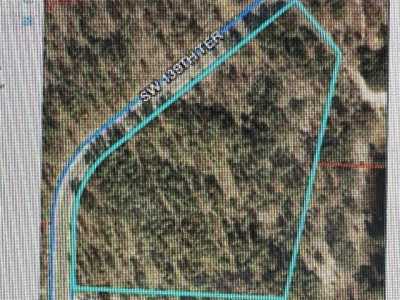 Residential Land For Sale in Morriston, Florida