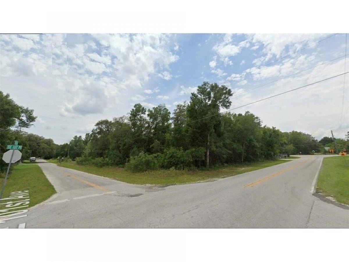 Picture of Residential Land For Sale in Belleview, Florida, United States