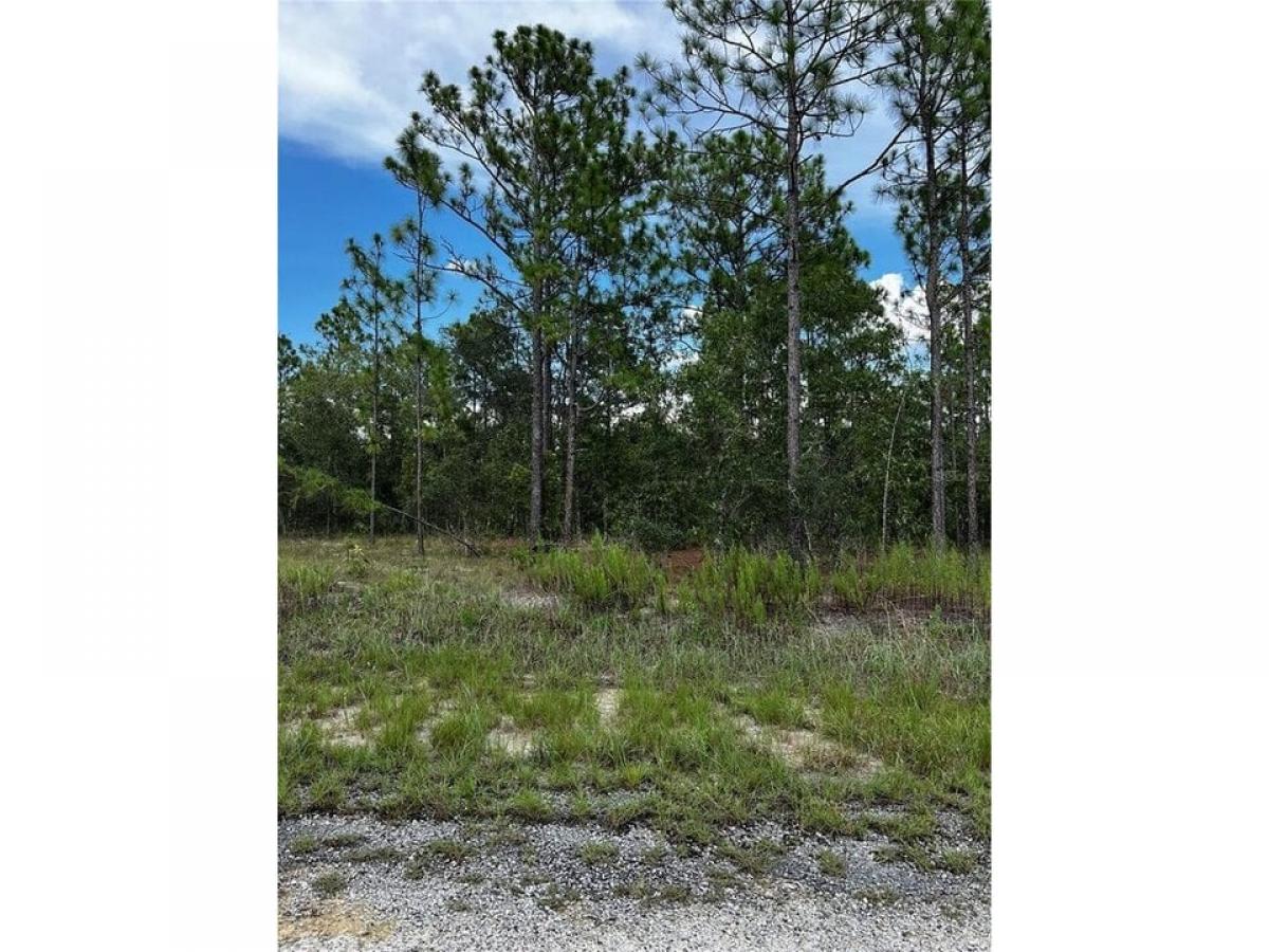 Picture of Residential Land For Sale in Dunnellon, Florida, United States