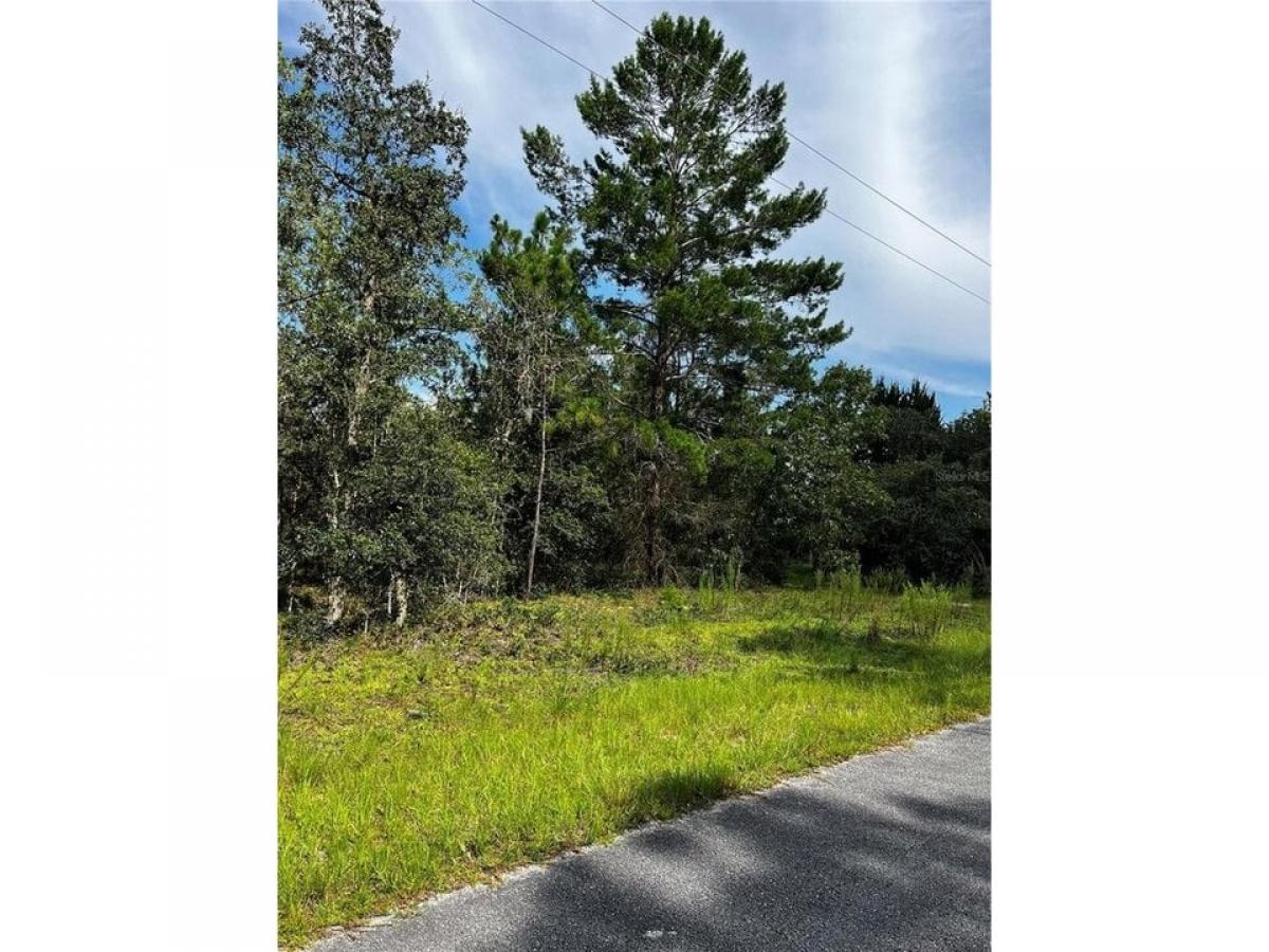 Picture of Residential Land For Sale in Dunnellon, Florida, United States