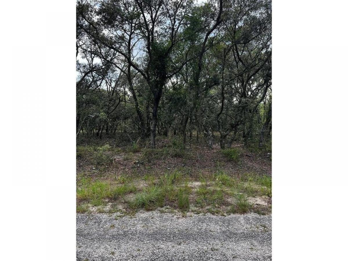 Picture of Residential Land For Sale in Dunnellon, Florida, United States