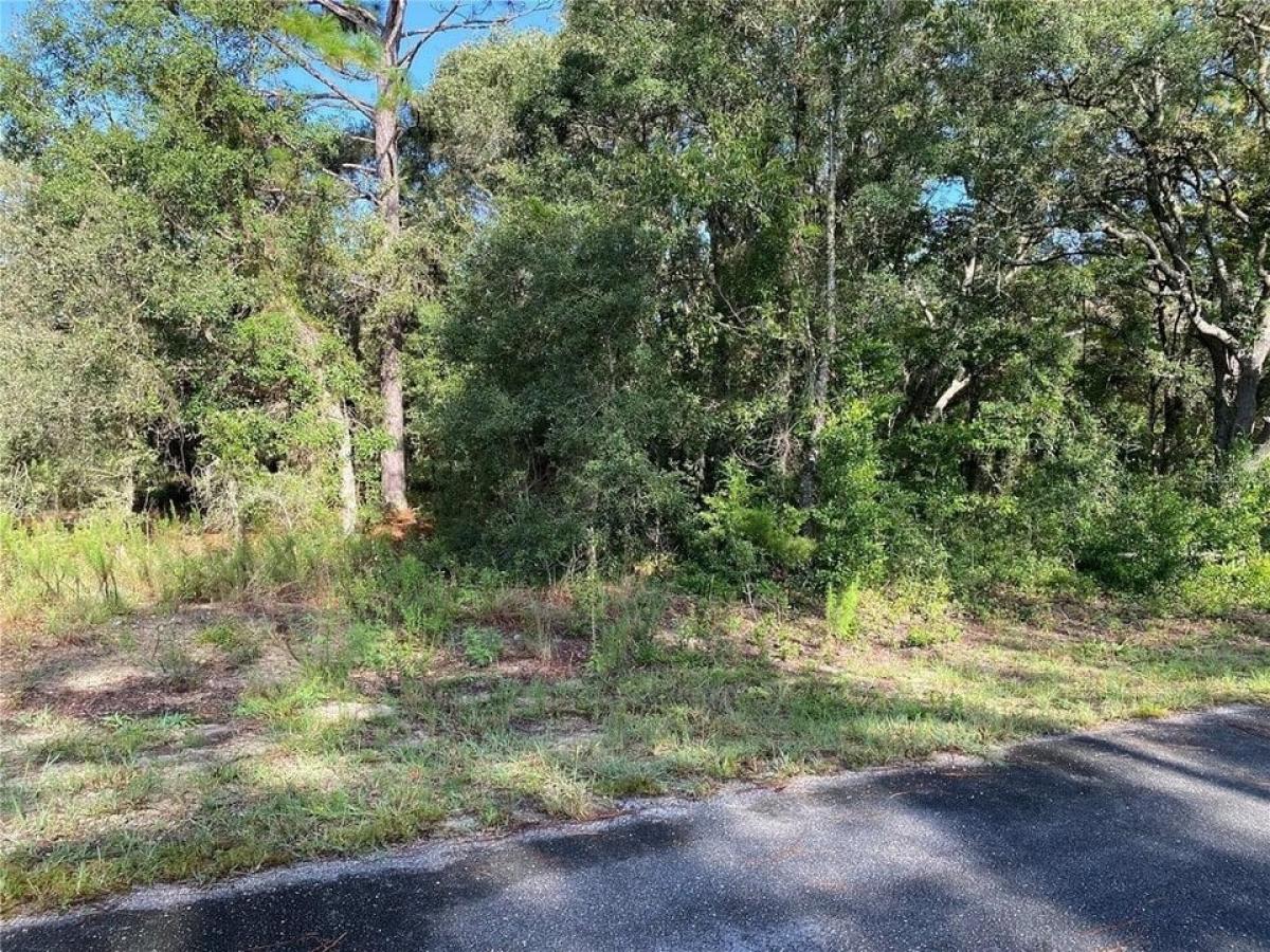 Picture of Residential Land For Sale in Dunnellon, Florida, United States