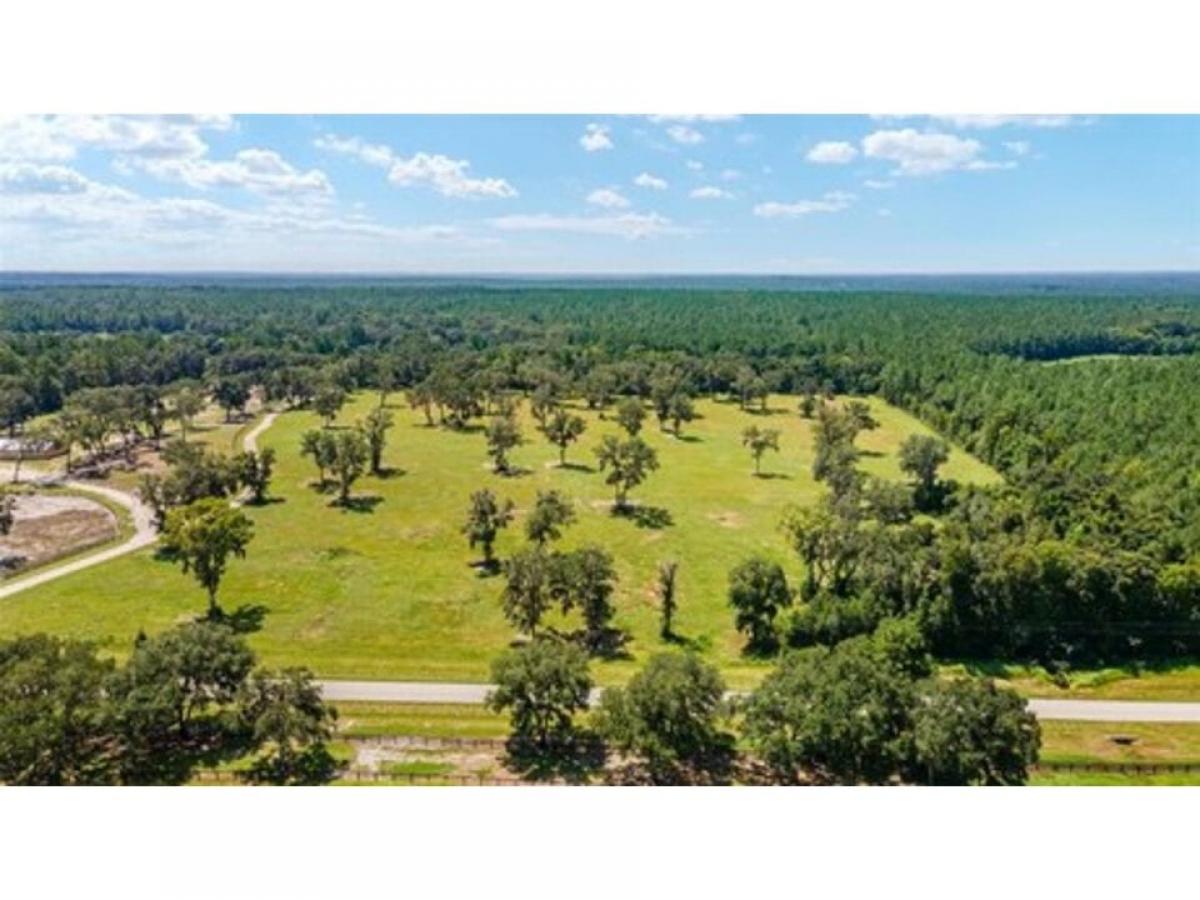 Picture of Residential Land For Sale in Reddick, Florida, United States