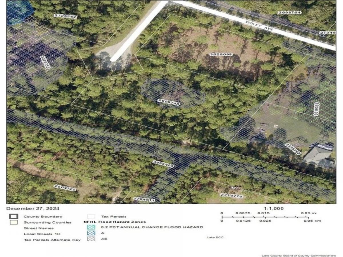 Picture of Residential Land For Sale in Eustis, Florida, United States