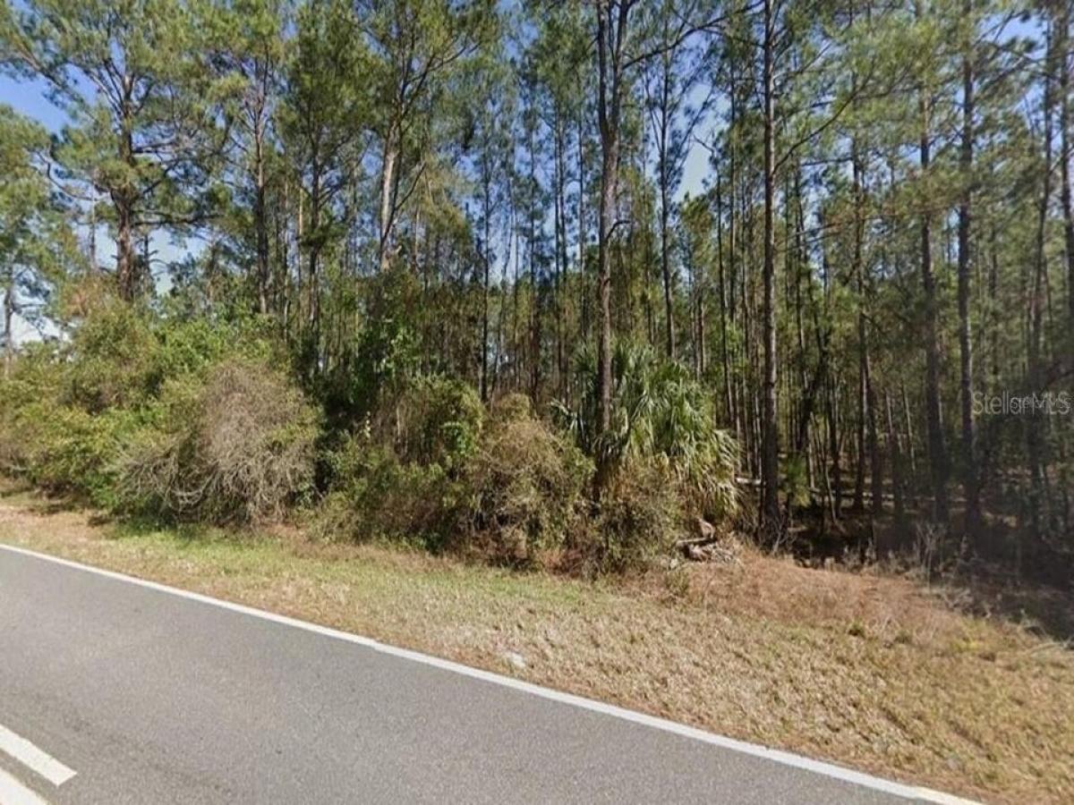 Picture of Residential Land For Sale in Eustis, Florida, United States