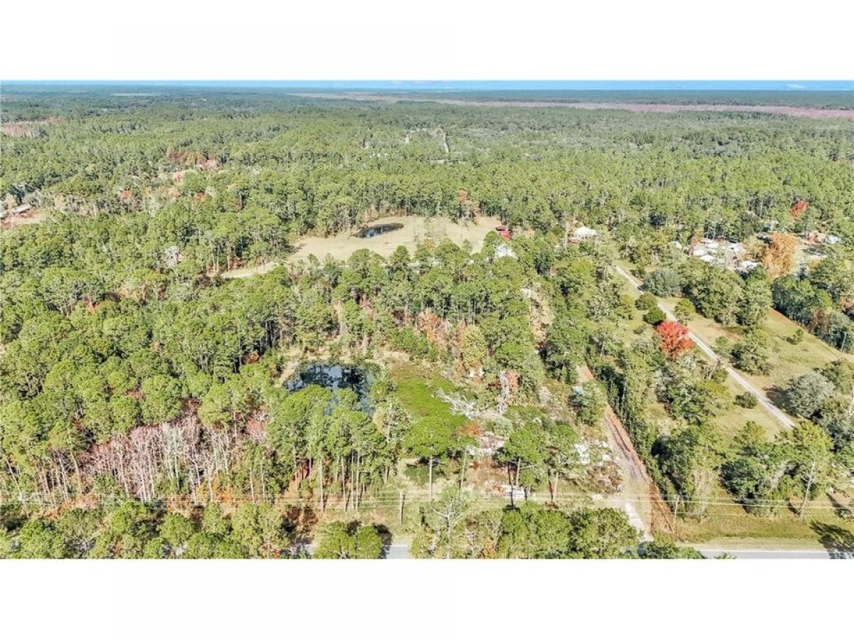 Picture of Residential Land For Sale in Fort Mc Coy, Florida, United States