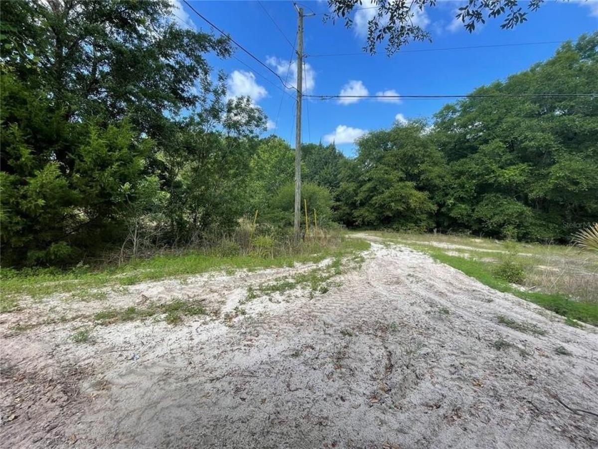 Picture of Residential Land For Sale in Satsuma, Florida, United States