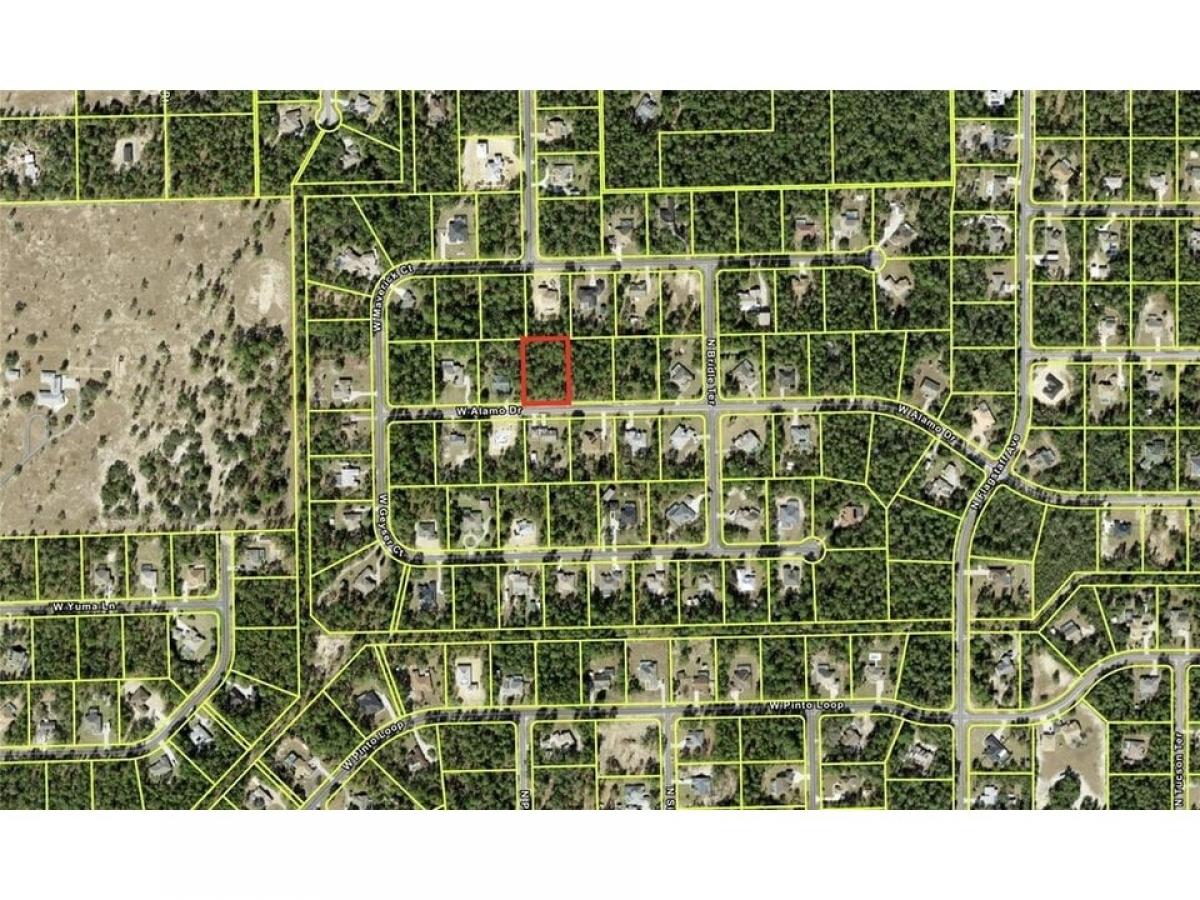 Picture of Residential Land For Sale in Beverly Hills, Florida, United States