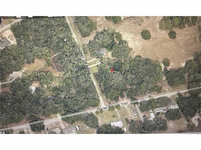 Residential Land For Sale in Ocklawaha, Florida