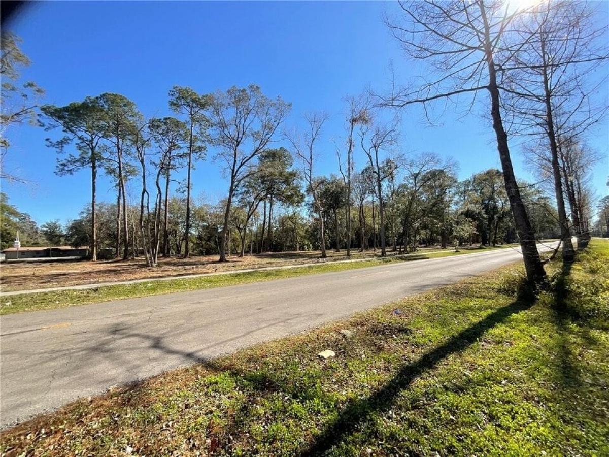 Picture of Residential Land For Sale in Gainesville, Florida, United States