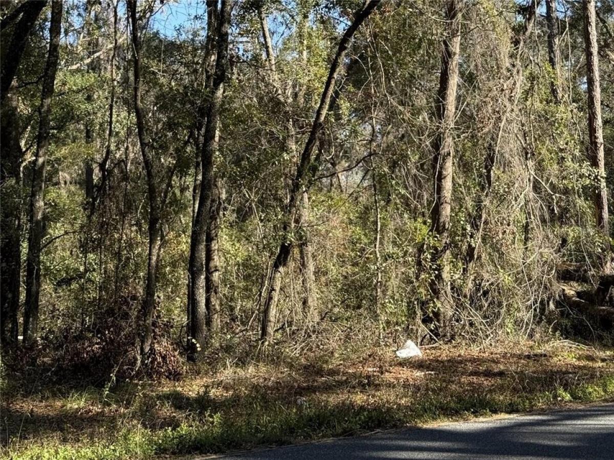 Picture of Residential Land For Sale in Lake City, Florida, United States