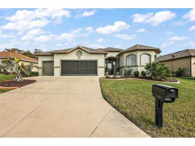 Home For Sale in Summerfield, Florida