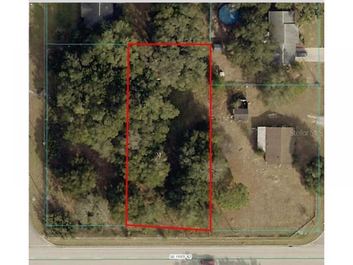 Picture of Residential Land For Sale in Summerfield, Florida, United States