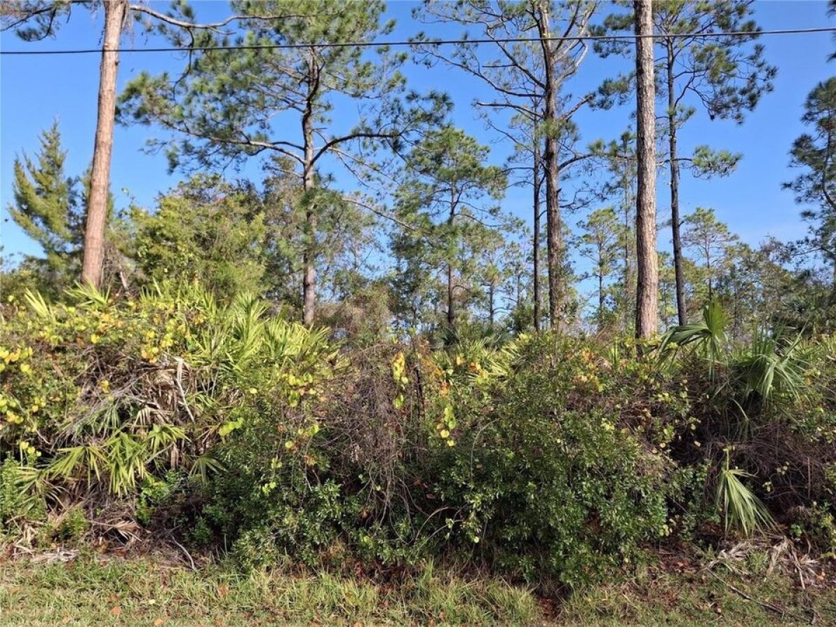 Picture of Residential Land For Sale in Palm Coast, Florida, United States