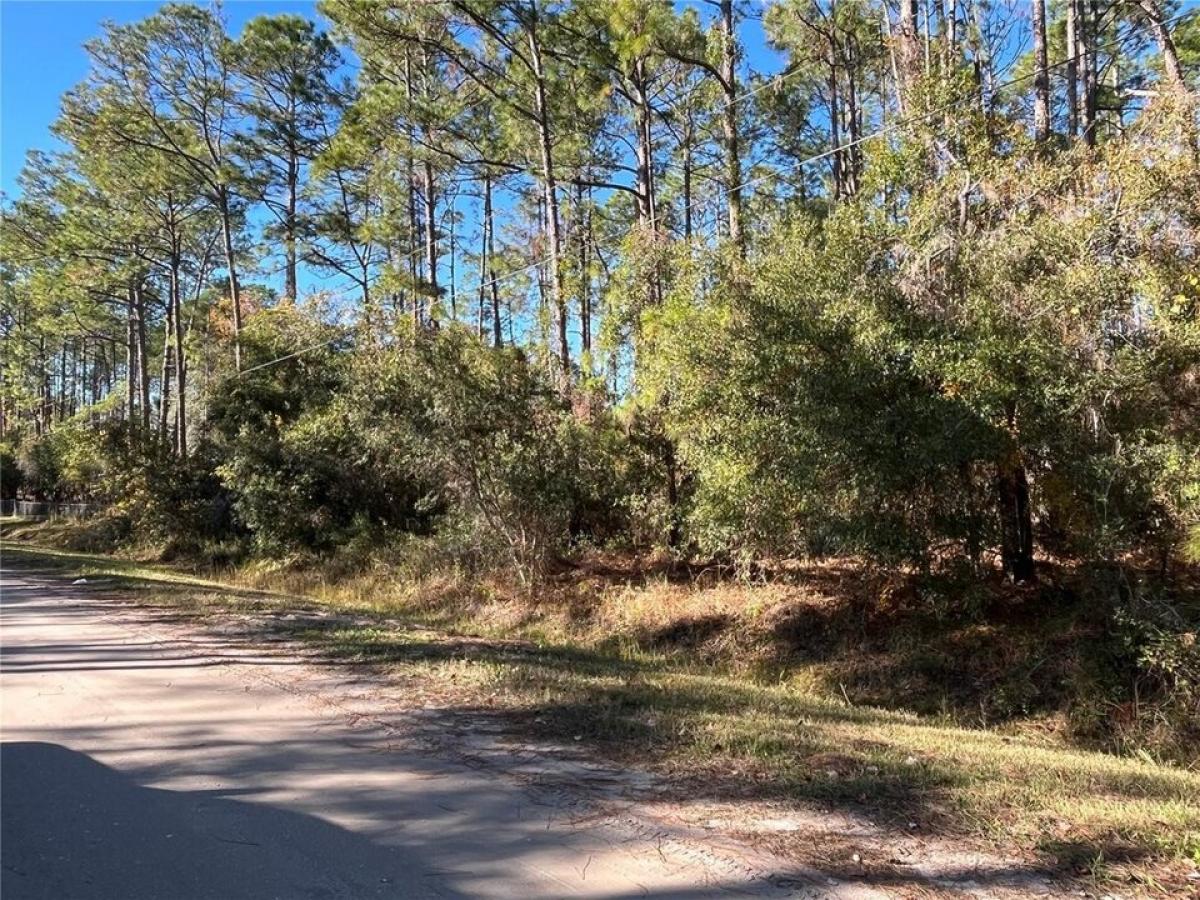 Picture of Residential Land For Sale in Bunnell, Florida, United States