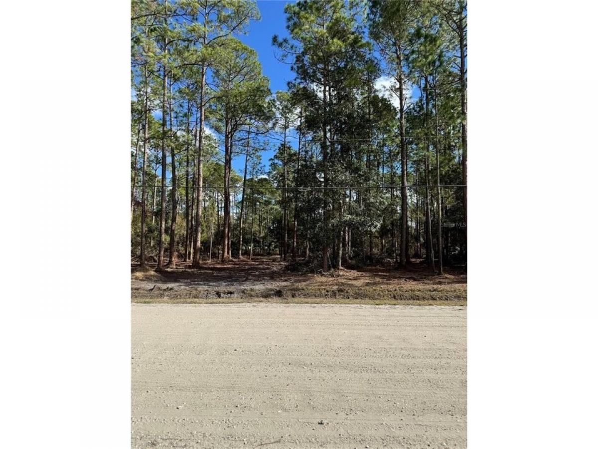 Picture of Residential Land For Sale in Bunnell, Florida, United States