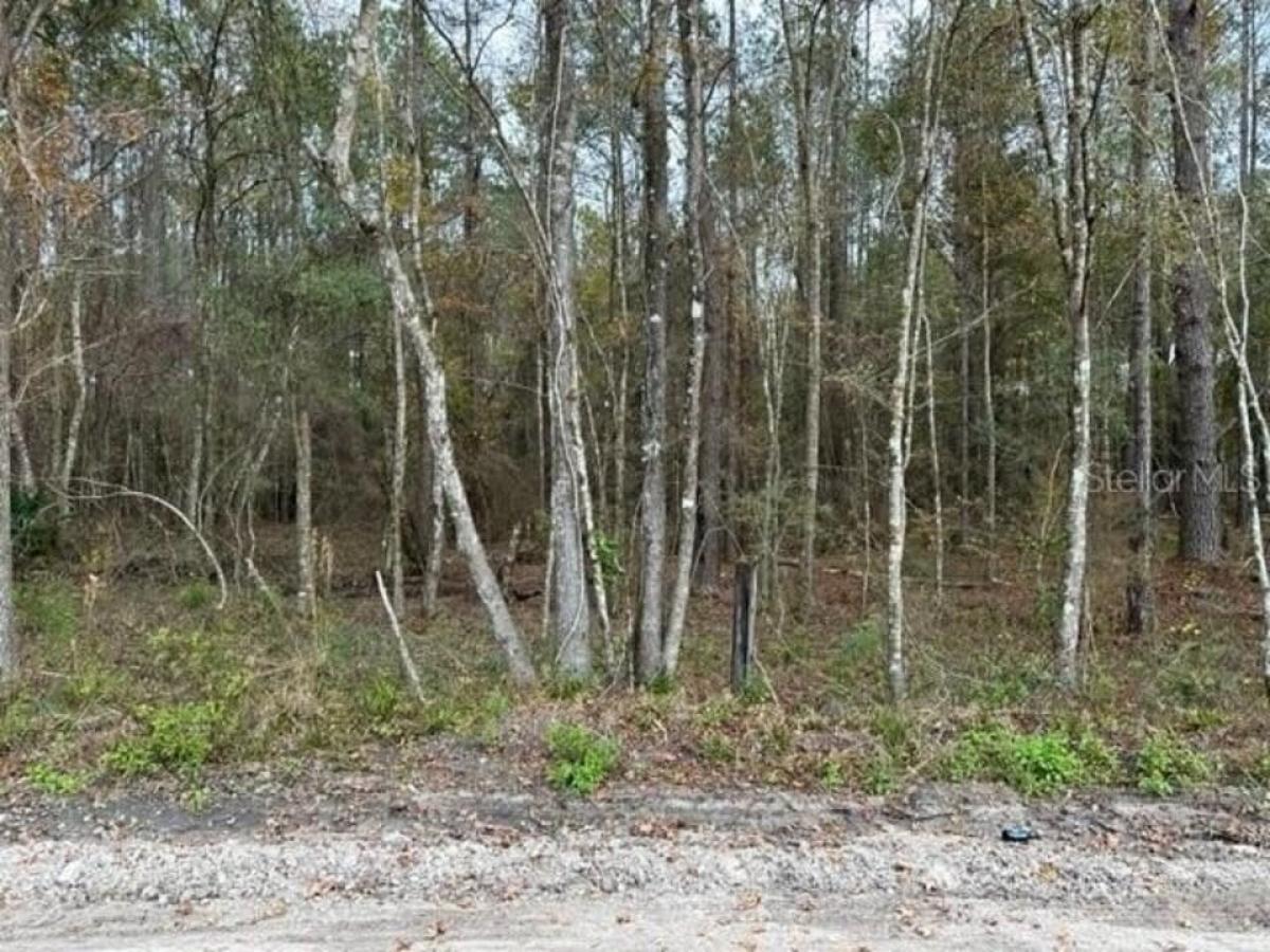 Picture of Residential Land For Sale in Lake City, Florida, United States