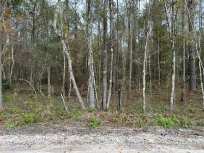 Residential Land For Sale in Lake City, Florida