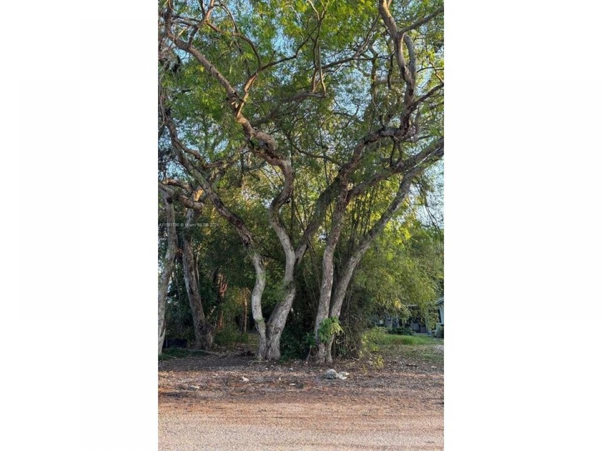 Picture of Residential Land For Sale in Key Largo, Florida, United States