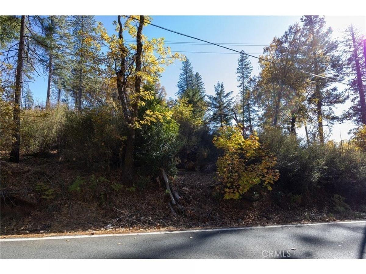 Picture of Residential Land For Sale in Cobb, California, United States