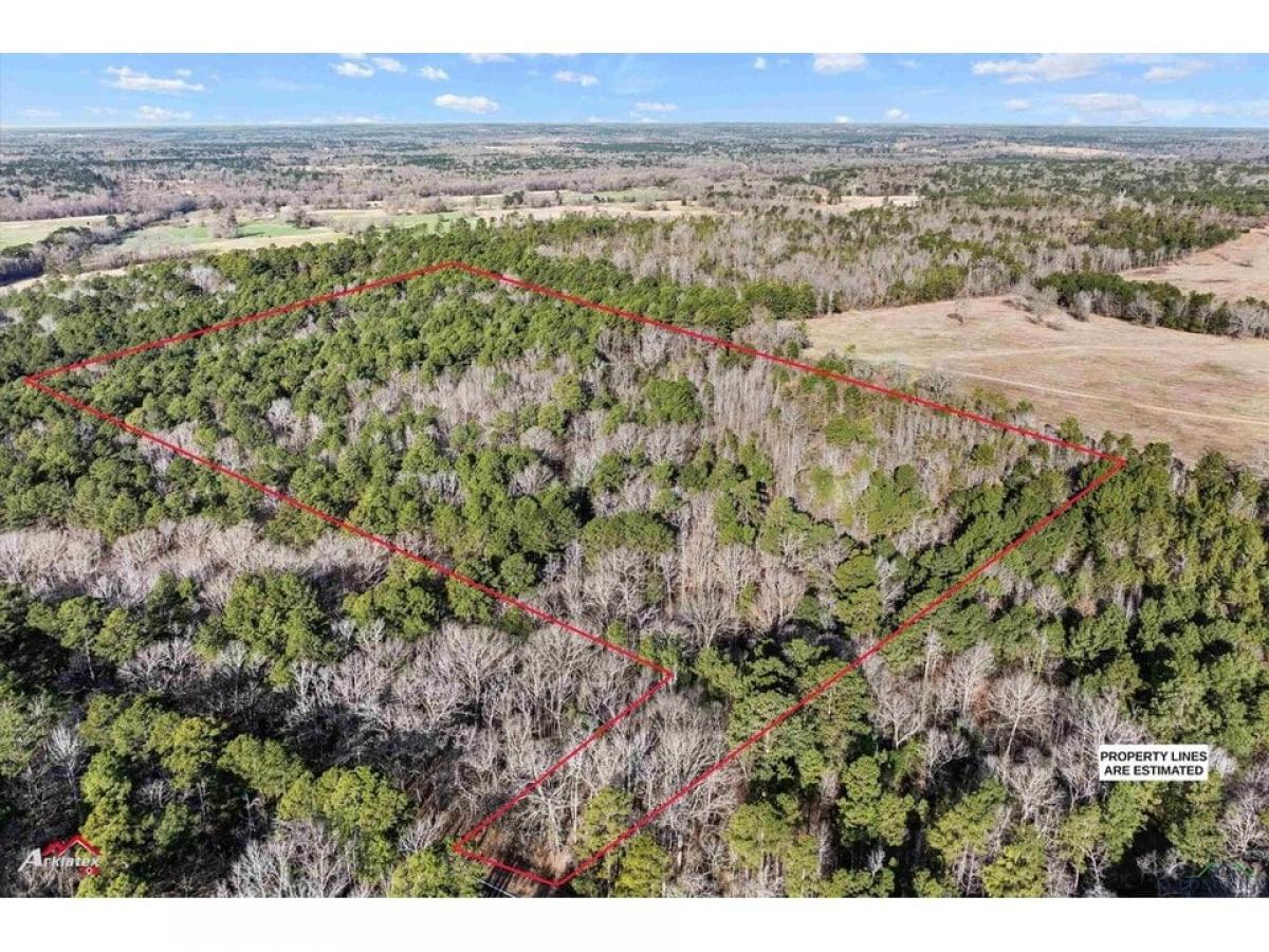 Picture of Residential Land For Sale in Overton, Texas, United States